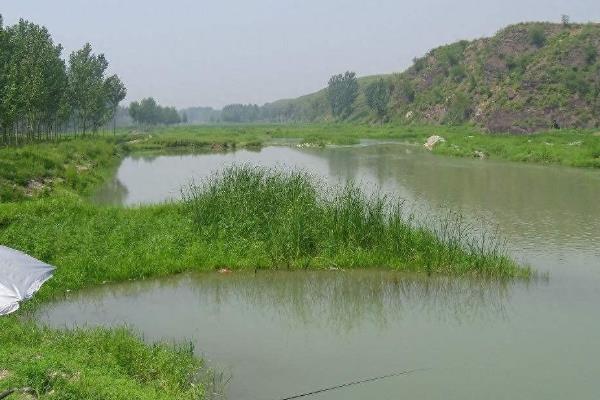 夏季钓鱼的打窝技巧，在作钓前1-3天就像钓点投放窝料