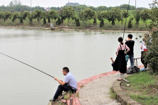 夏季钓鱼的打窝技巧，在作钓前1-3天就像钓点投放窝料