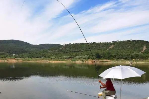 夏季钓鱼的打窝技巧，在作钓前1-3天就像钓点投放窝料