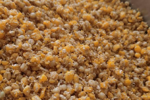 夏季钓鱼的打窝技巧，在作钓前1-3天就像钓点投放窝料