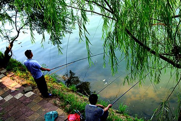 夏季钓鱼的打窝技巧，在作钓前1-3天就像钓点投放窝料