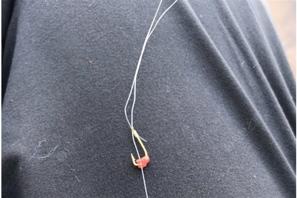 1.0子线能飞多少斤的鱼，一般能飞2斤以内的鱼