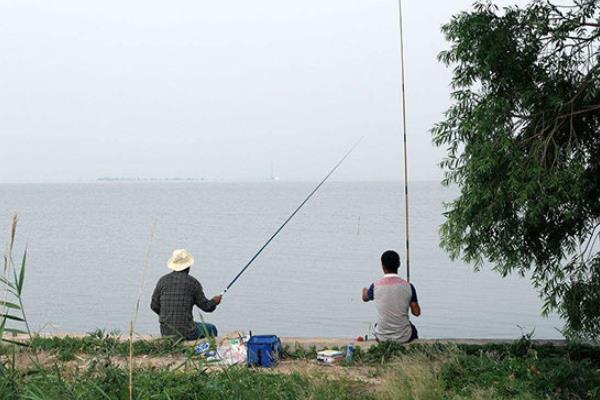 野钓鲫鱼几月份好钓，4月、9月及10月份前后最好钓