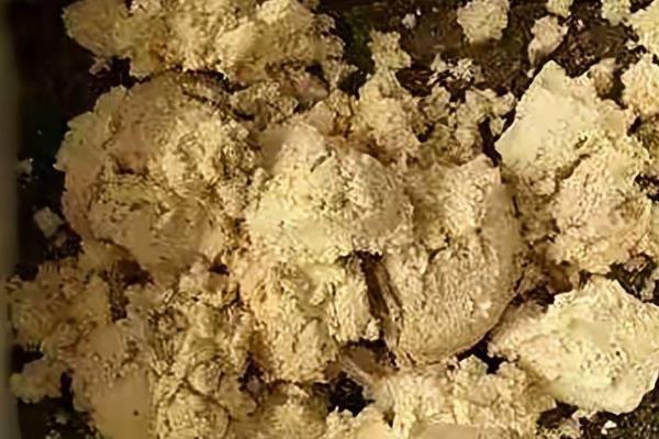 豆腐渣怎么发酵成有机肥，常用以下2种方式