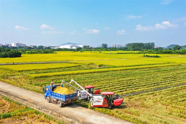 农业合作化有什么意义，可推动社会主义建设的发展