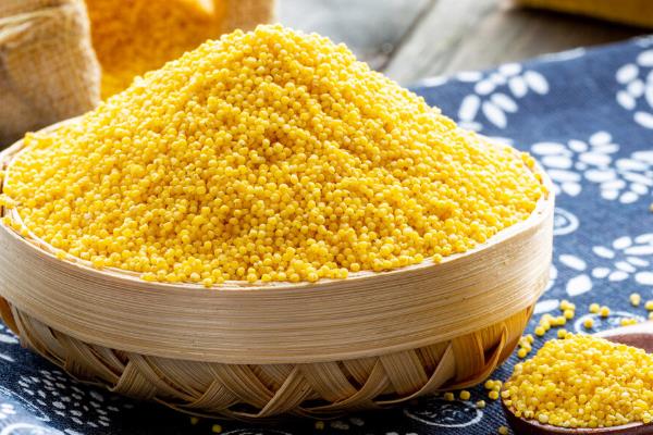 小米有哪些优劣特质，具有米粒大小和颜色均匀的特点
