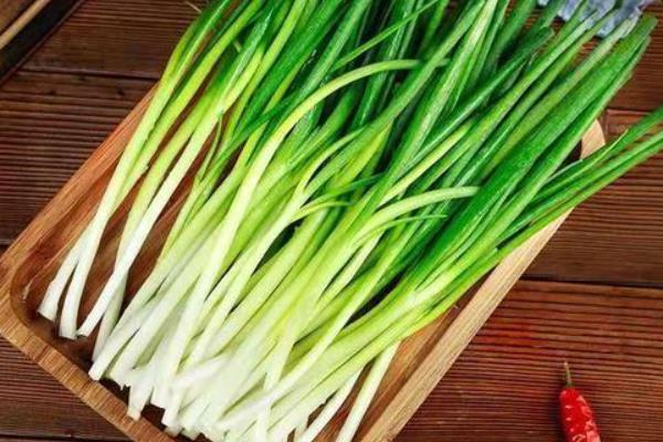 哪些农作物在小满前后种植，包括苋菜、生菜、萝卜等品种
