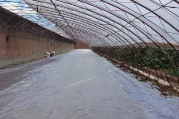 棚菜病虫害不用药剂的防治方法，要及时拔除棚内病株或摘除病叶