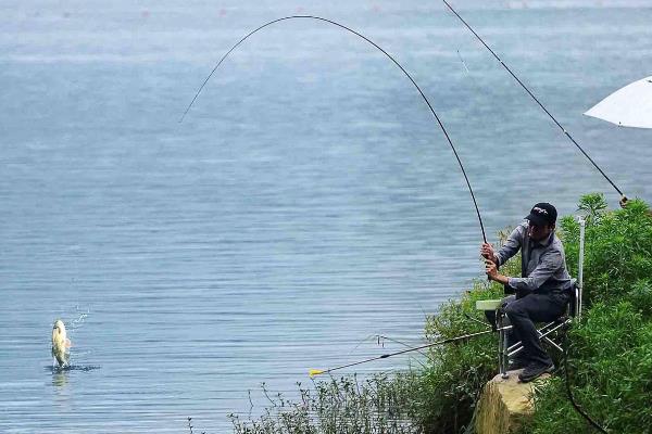 春天钓鲤鱼适合用哪种饵料,初春可以使用蚯蚓等荤饵