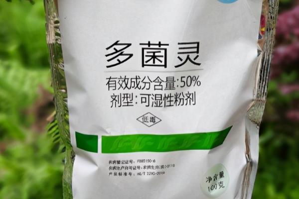 多菌灵和百菌清的区别，杀菌机理、使用方式有所不同