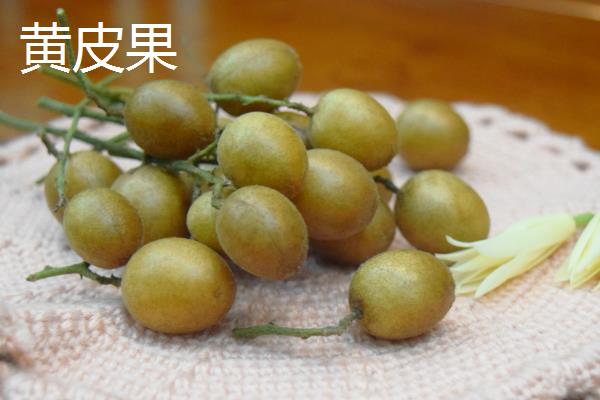 黄皮果和姑娘果是否为同一种植物，二者的外观明显不一样