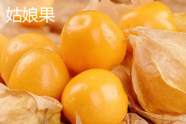 黄皮果和姑娘果是否为同一种植物，二者的外观明显不一样