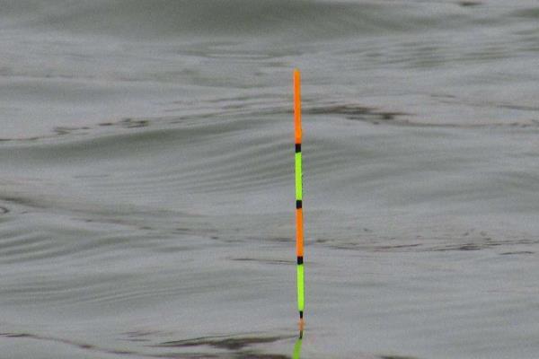 野钓鳊鱼的最佳水深，钓0.5米至2米深均