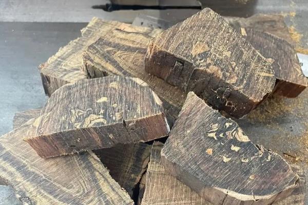 奇南香适合在哪些地方种植,适合在热带和亚热带地区种植