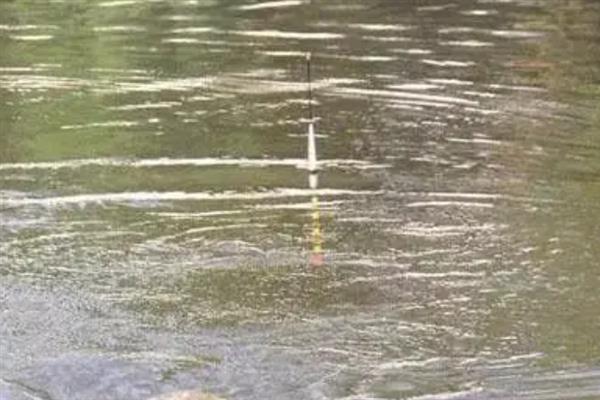 水库钓鲤鱼如何调漂，钓钝可采取调水平钓2-3目、调1目钓3-6目等方式