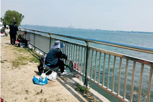 水库钓鲤鱼如何调漂，钓钝可采取调水平钓2-3目、调1目钓3-6目等方式
