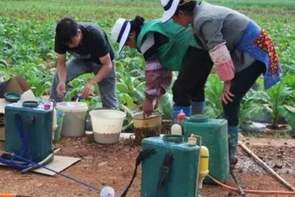 各类混合农药，包括杀虫剂混用、杀虫剂与除草剂混用等
