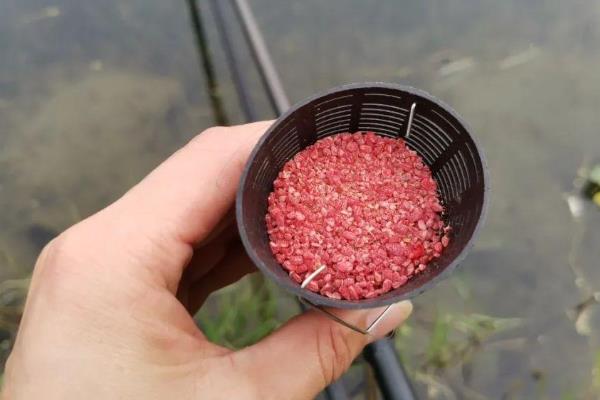 打窝能用酒米窝料吗，酒米是比较好的窝料