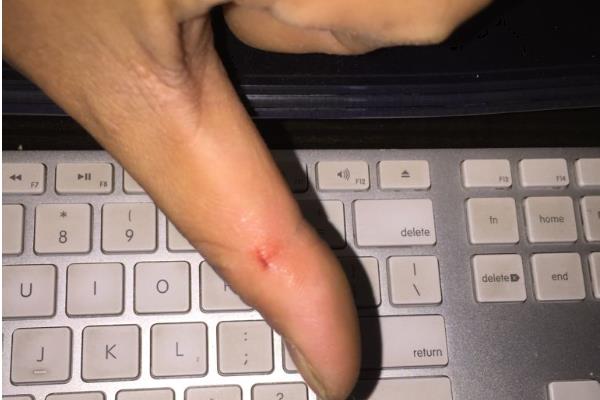 狗狗被惯坏的表现，表现为人来疯、无理取闹等