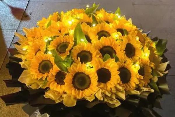 白色向日葵的含义，代表光辉能让人感到光明、纯洁