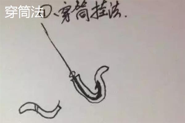 钓鲤鱼怎么挂蚯蚓，可采用穿筒法、缠绕法等