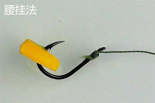 钓鲤鱼怎么挂蚯蚓，可采用穿筒法、缠绕法等