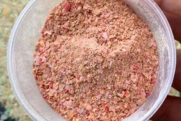 冬天是用蚯蚓好还是商品饵好，二者各有优势