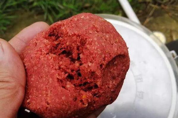 夏天什么时间钓鲤鱼好，在早上和晚上才最合适