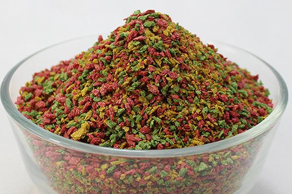 夏天什么时间钓鲤鱼好，在早上和晚上才最合适