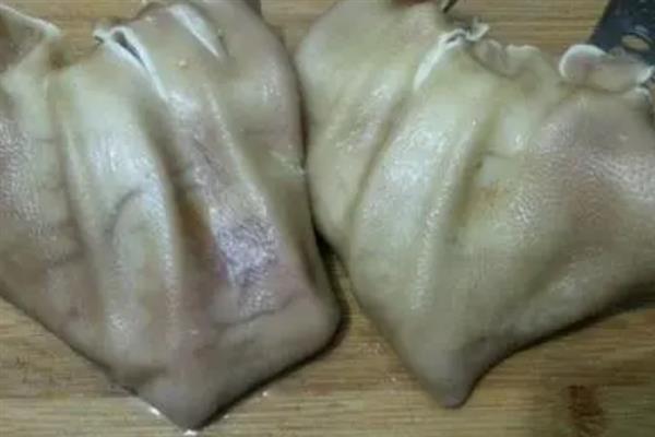 猪耳朵的特点，具有散热的作用