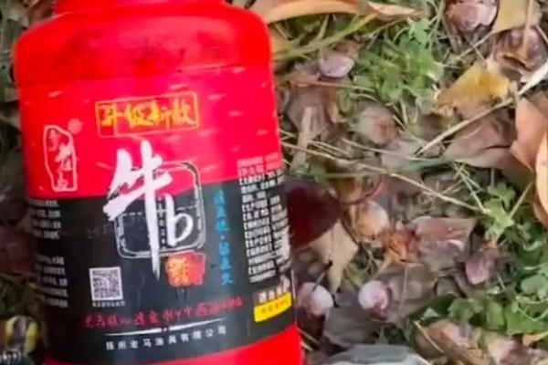 牛b鲫的主要成分，主要成分就是维生素B和氨基酸