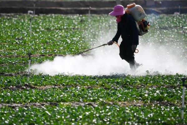 甲维盐虱螨脲的防治对象，可灭杀小菜蛾、菜青虫、白粉虱等害虫