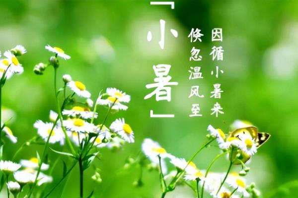 小暑是入伏的第一天吗，小暑不是入伏的第一天