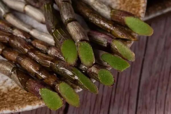 铁皮石斛的食用方法，泡茶、榨汁、直接吃都可以