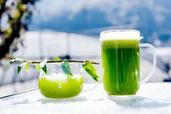 铁皮石斛的食用方法，泡茶、榨汁、直接吃都可以