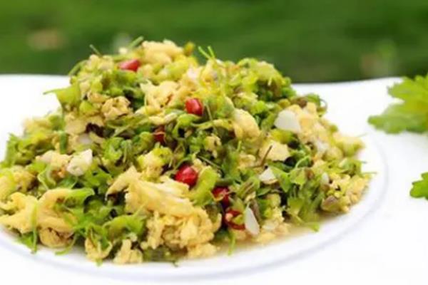 铁皮石斛的食用方法，泡茶、榨汁、直接吃都可以