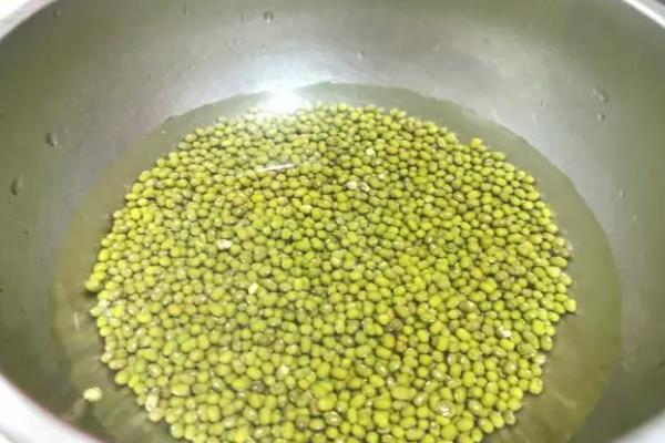 怎样让绿豆发芽，种子先放入60度的温水中浸泡两分钟