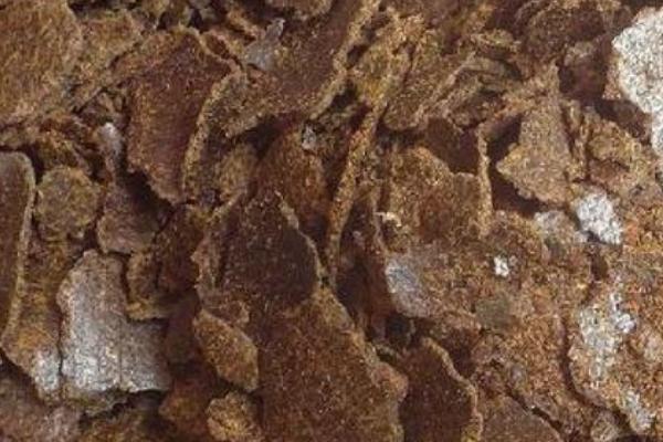 豆饼能否直接撒入地里，直接使用容易烧伤根系
