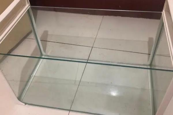 蝾螈简介，又称为四脚鱼