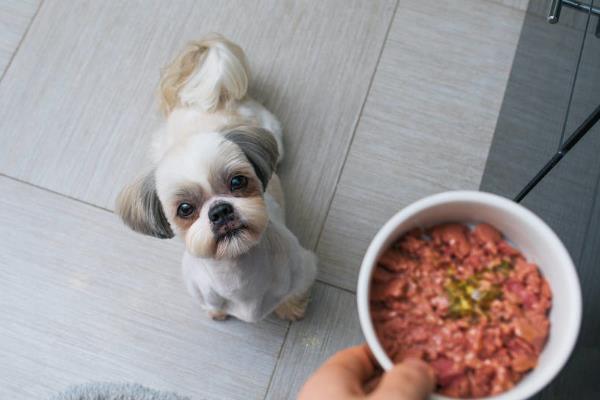 狗狗怀孕一个月的症状，其腹部会隆起