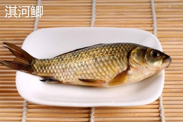 鲫鱼的品种介绍，常见的有土鲫、高背鲫等