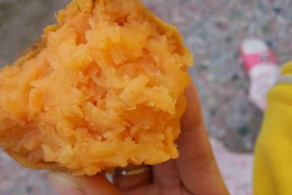 钓鱼如何自制饵料，用红薯、玉米、麦麸等材料混配