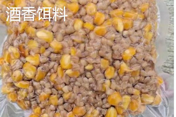 钓鱼如何自制饵料，用红薯、玉米、麦麸等材料混配