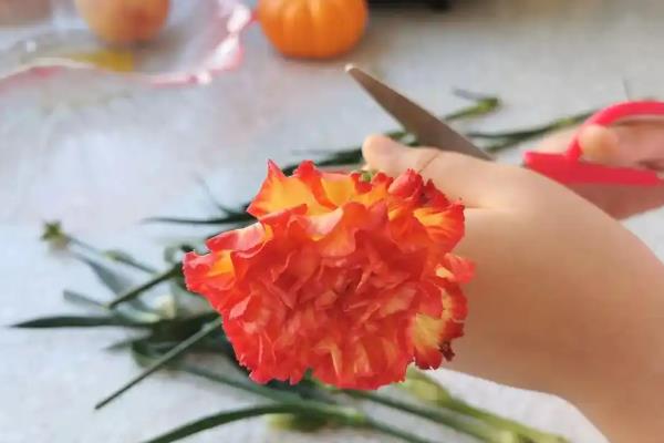 康乃馨能不能做干花，康乃馨是可以做成干花的