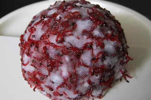 红虫拉饵怎么开饵，常见以下2种方法
