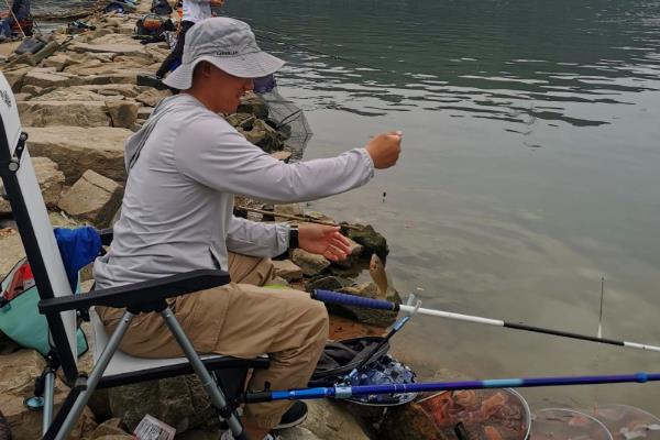 黑坑钓鲤鱼子线多长为佳，在60至80厘米之间为佳