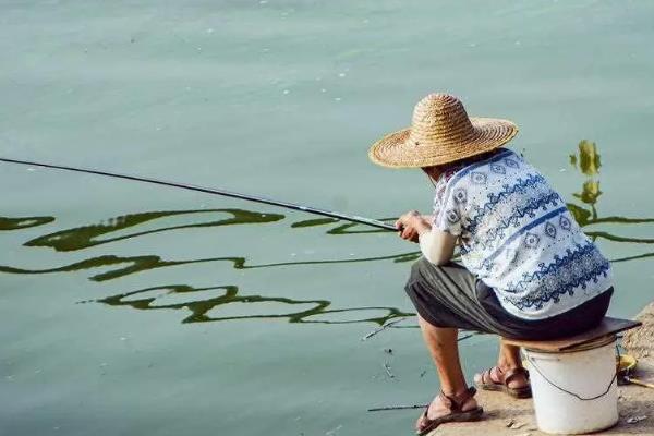 黑坑钓鲤鱼子线多长为佳，在60至80厘米之间为佳