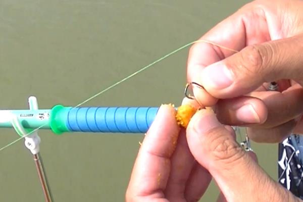 黑坑钓鲤鱼子线多长为佳，在60至80厘米之间为佳