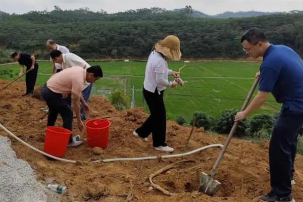 荔枝挂果到成熟需要多久，需要30-40天左右
