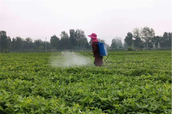 花生叶面喷肥的方法，不同肥料种类的喷施方法不同
